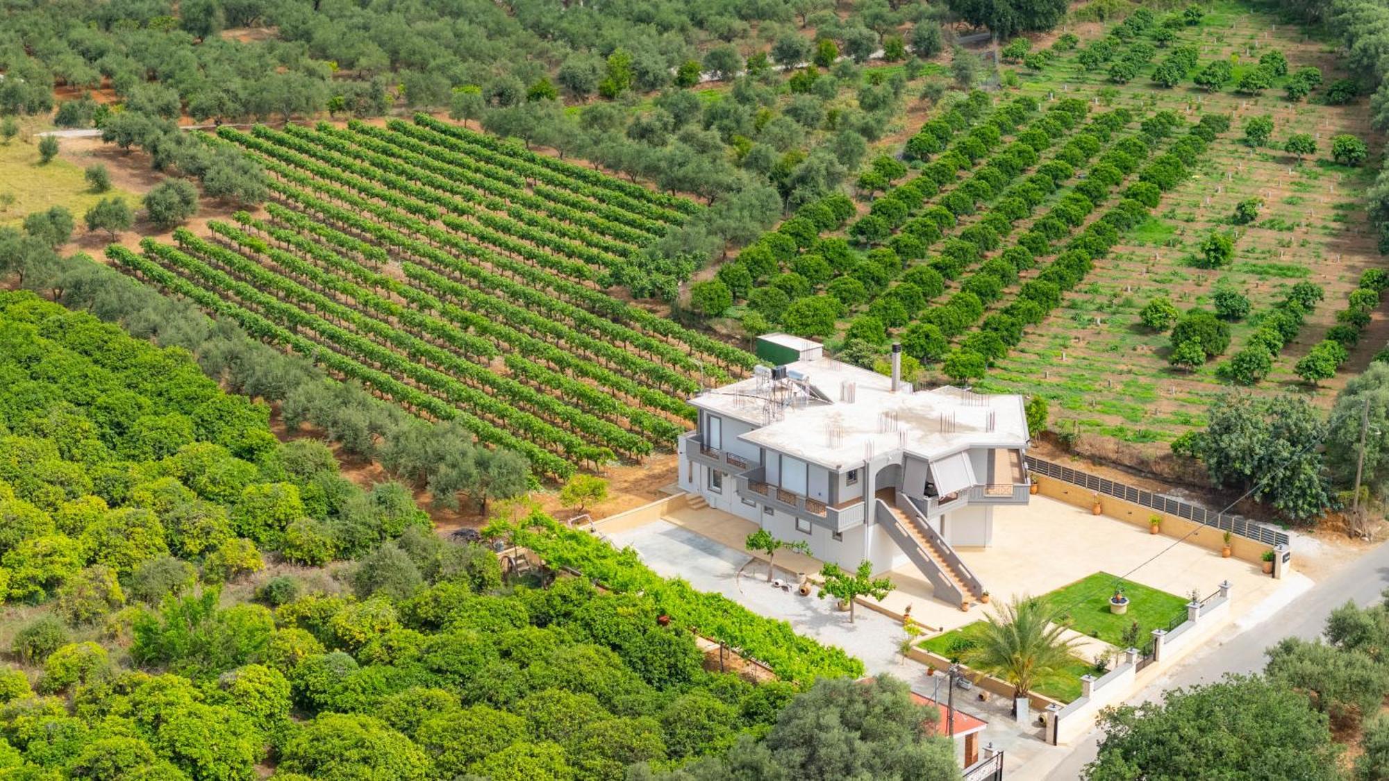 Ampelos Περιβόλια Εξωτερικό φωτογραφία